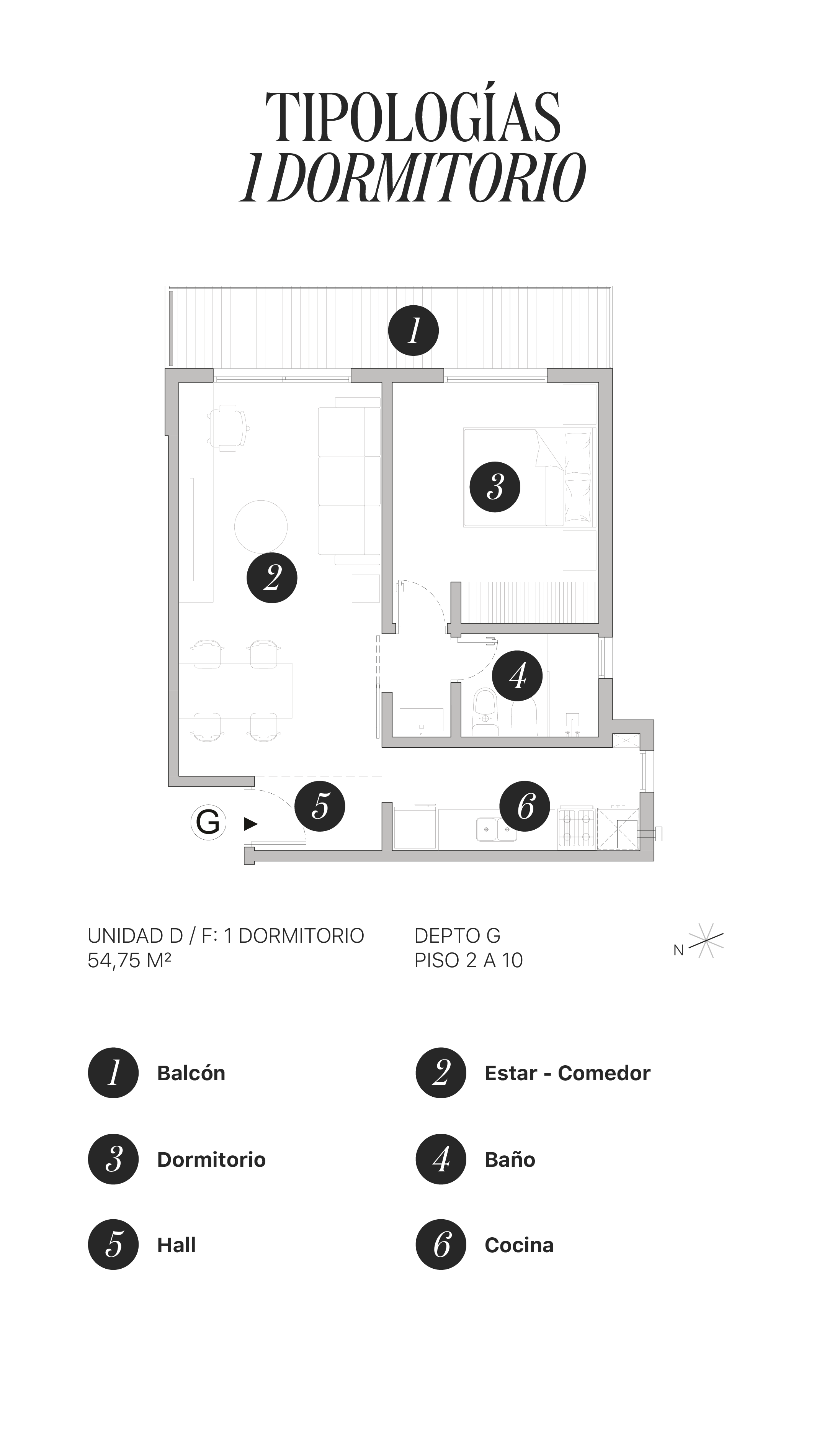 Tipología 1 - Vista F