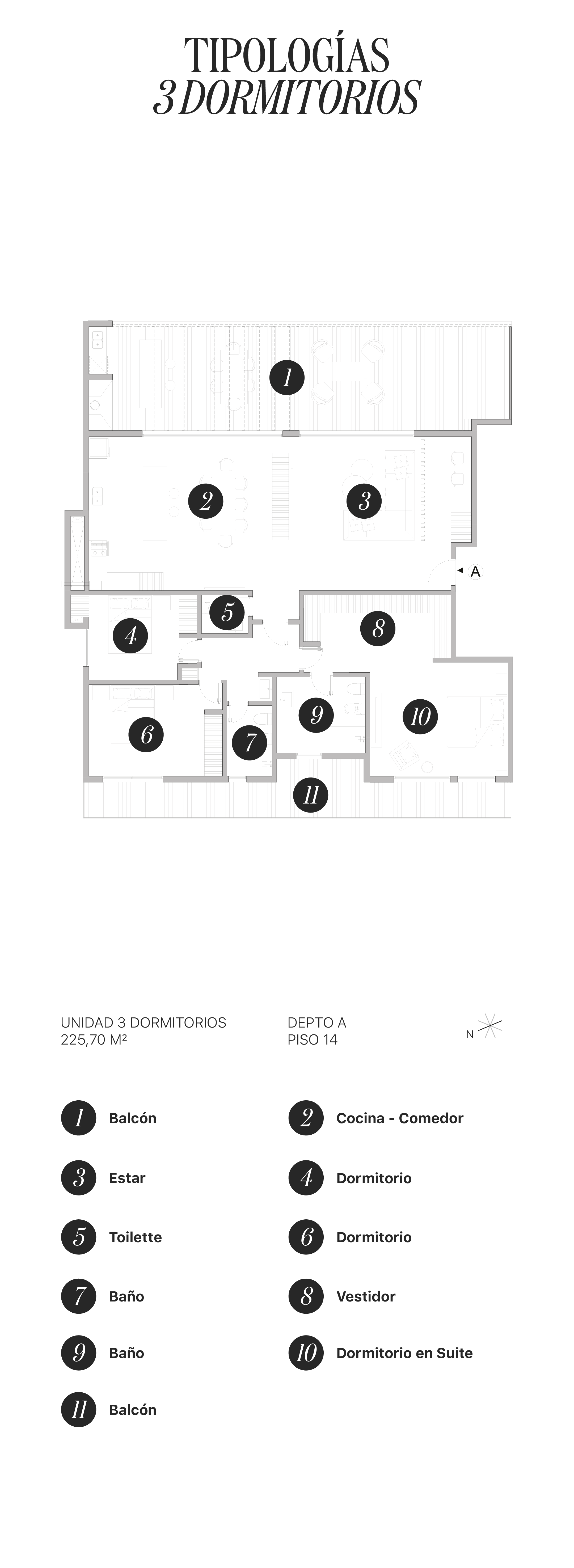 Tipología 3 - Vista D